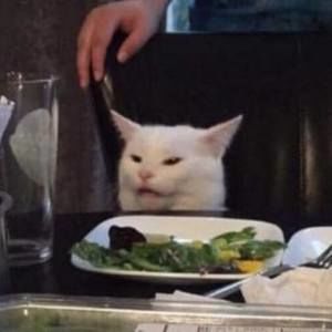 Meet your Posher, Brett